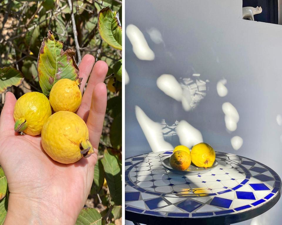 Galería de imágenes