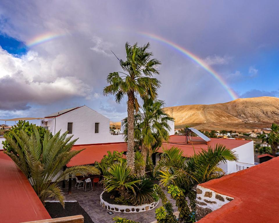 Hotel Casa Cocolores 17