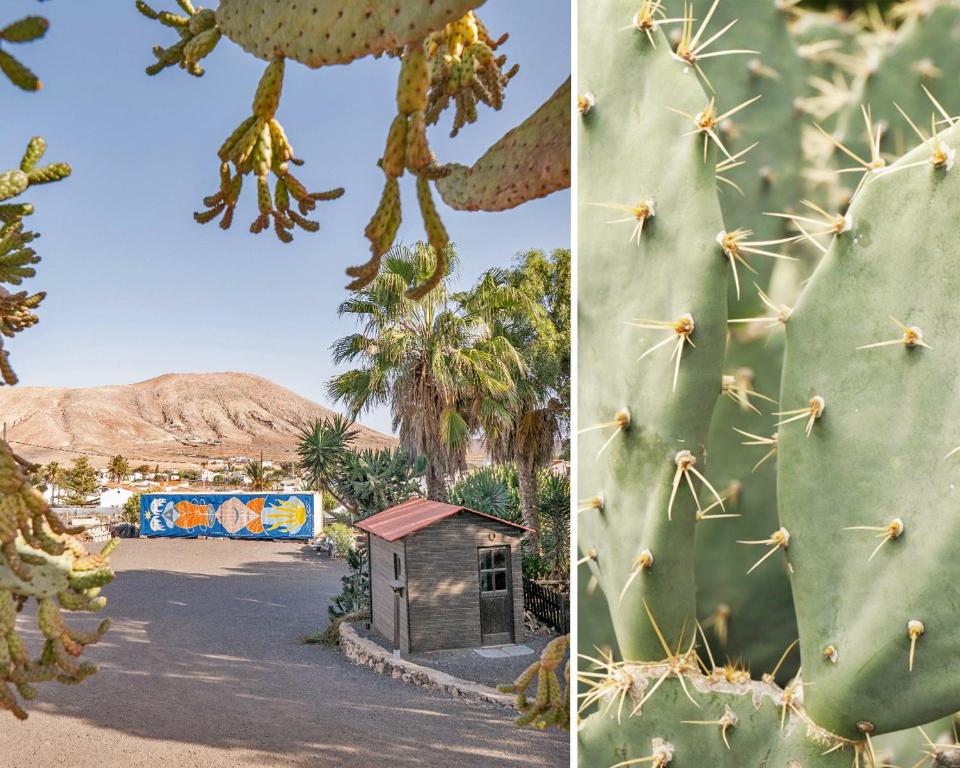 Hotel Casa Cocolores 12