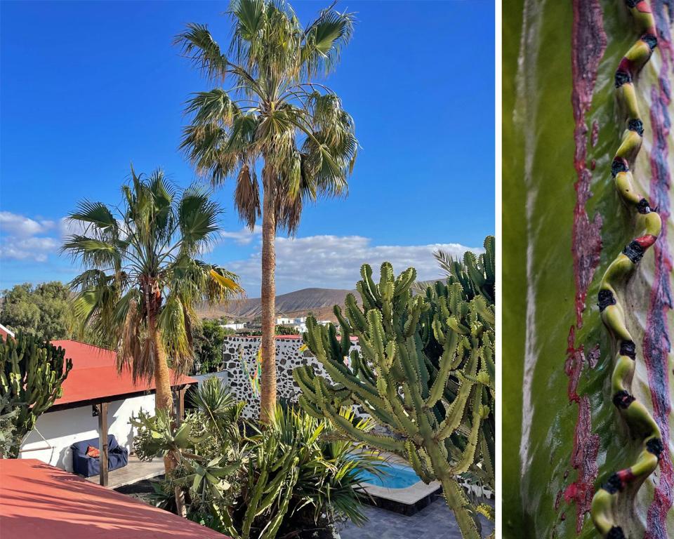 Hotel Casa Cocolores 18