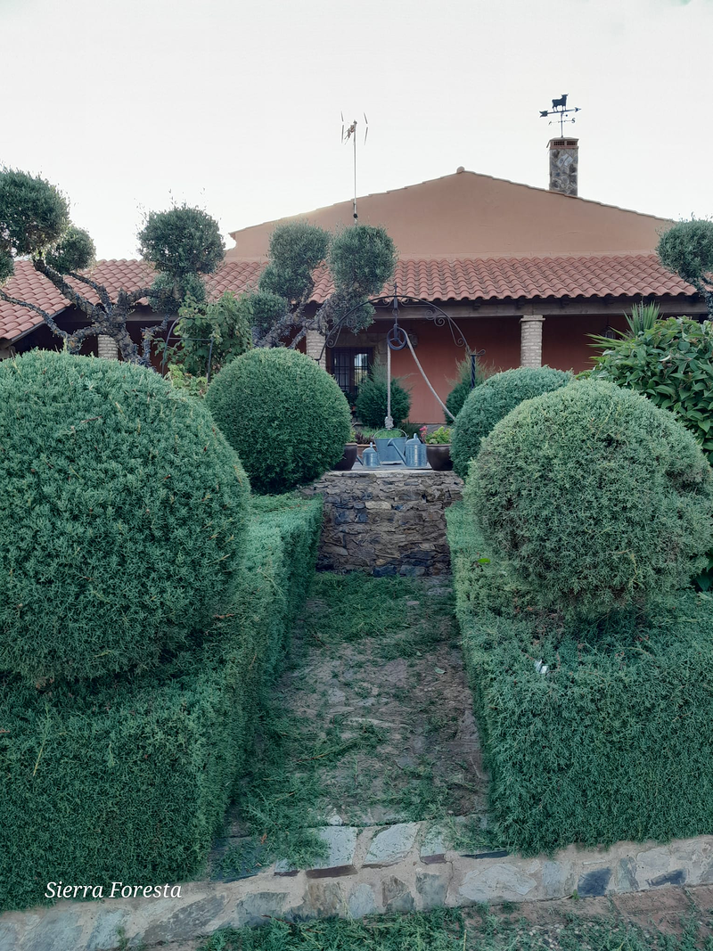 Pakito Sierra - Sierra Foresta 4