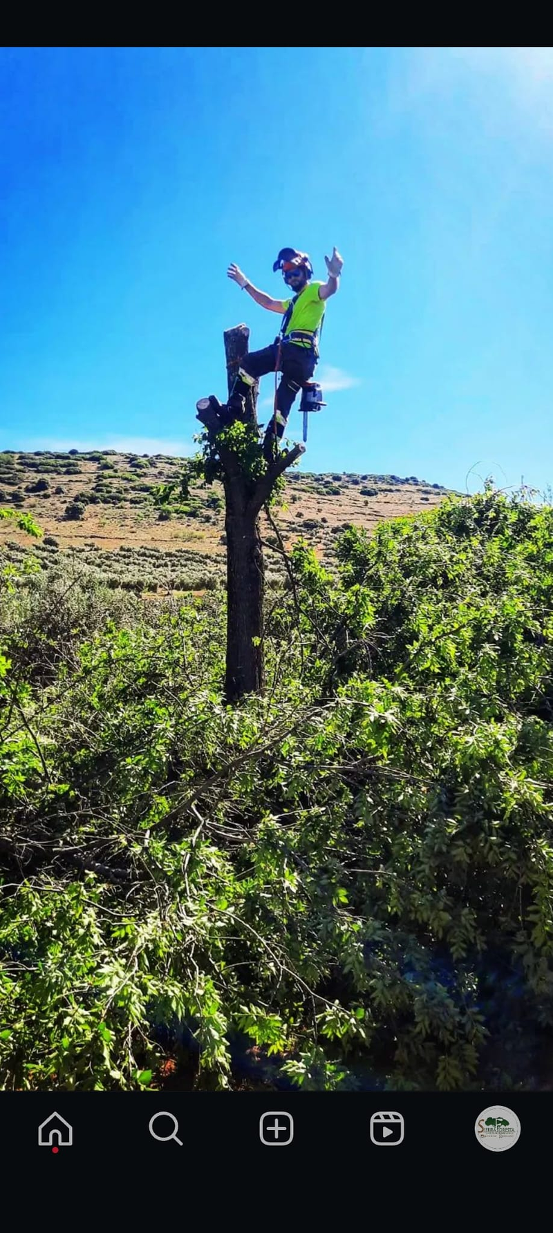 Pakito Sierra - Sierra Foresta 6