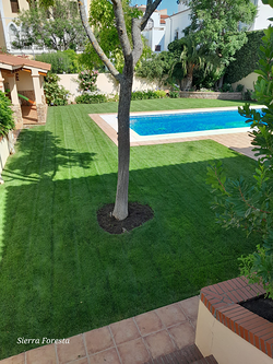 Galería de imágenes