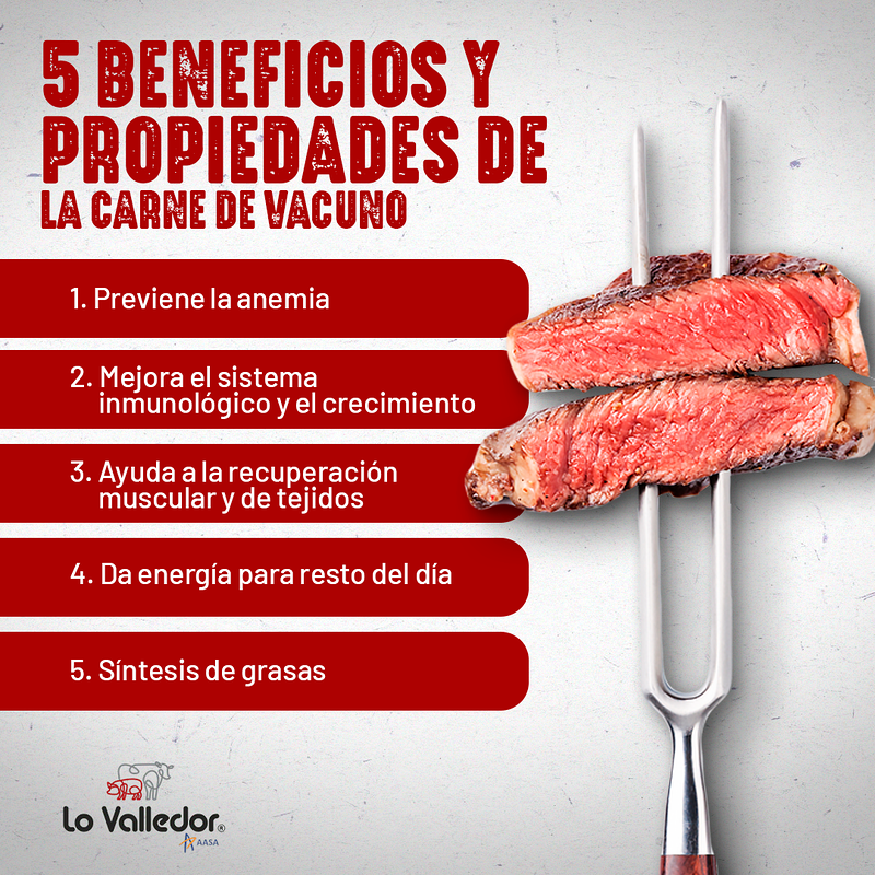 Iber Lo Valledor Barcelona