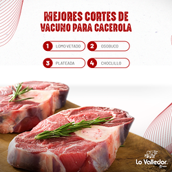 Galería de imágenes