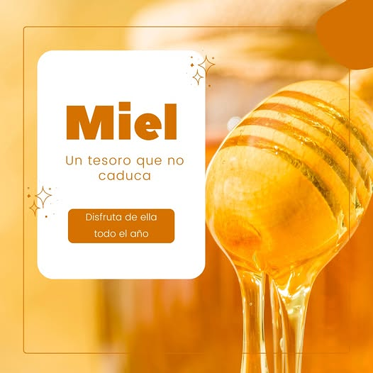 La Miel De Rafael MIEL Y PRODUCTOS APICOLAS: PRODUCTORES