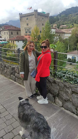 Galería de imágenes