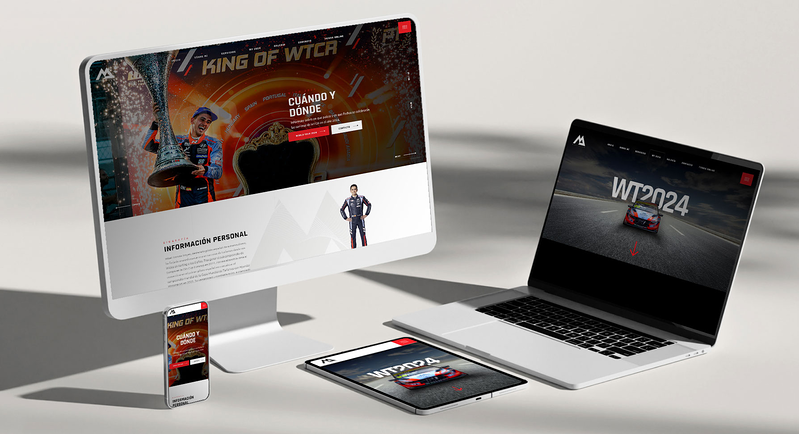 MJ Pizarro Dise&ntilde;ador Web Estella-Lizarra