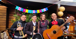 Galería de imágenes