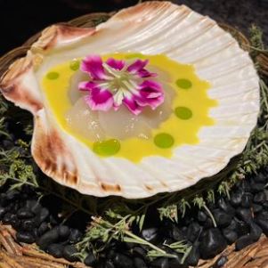Hor Cocina Libre 2