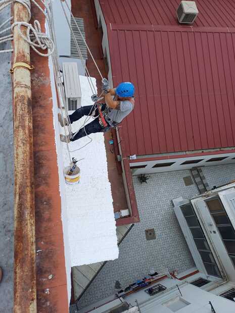 Galería de imágenes