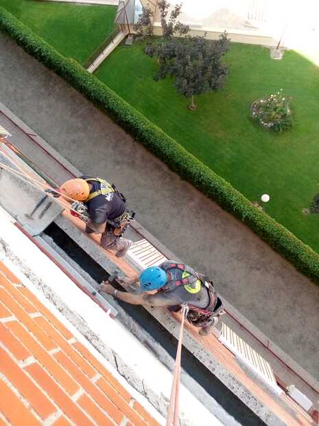 Galería de imágenes