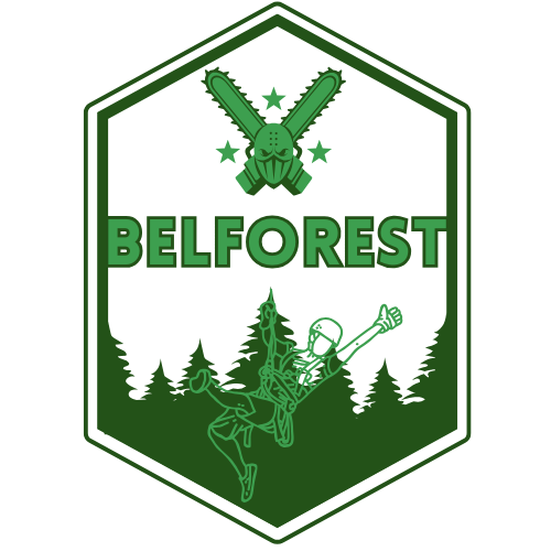 Belforest