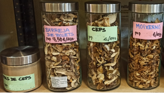 Grapats De La Terra 10