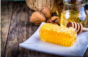 Grapats De La Terra 5