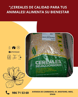 Galería de imágenes