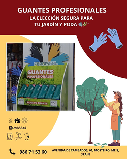 Galería de imágenes