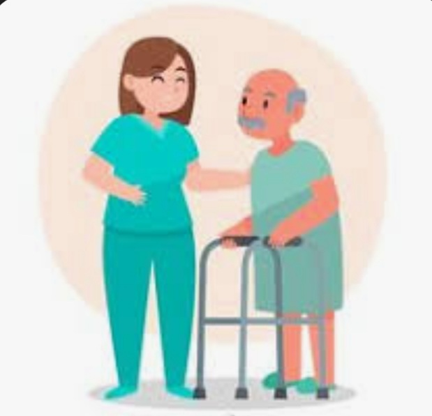 Adol Service ASISTENCIA A DOMICILIO: SERVICIOS PRIVADOS