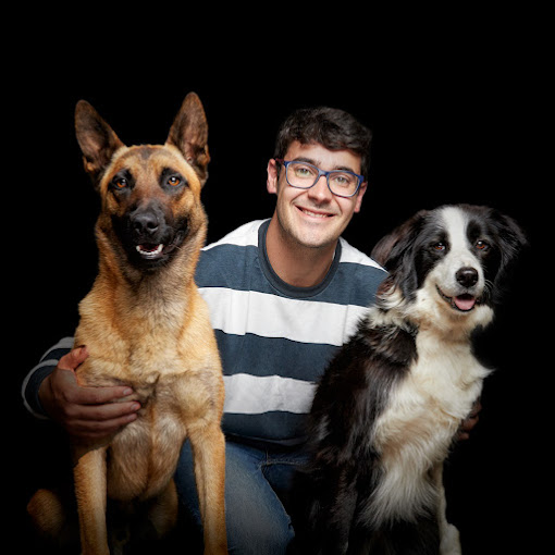 Galería de imágenes