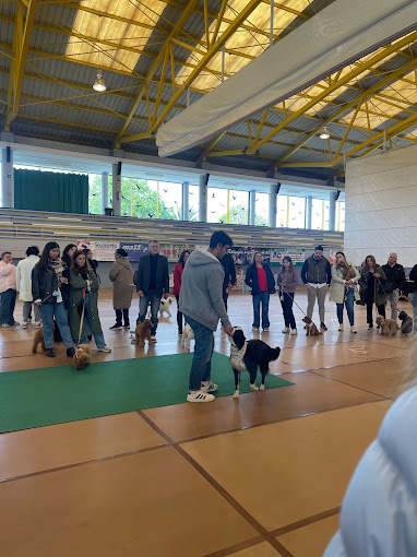 Galería de imágenes