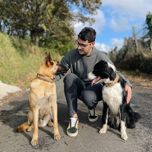 Galería de imágenes