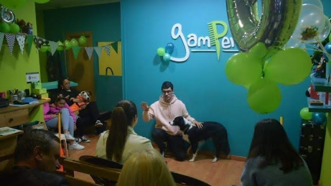 Galería de imágenes