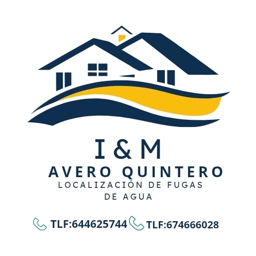 I M Avero Quintero Fugas De Agua