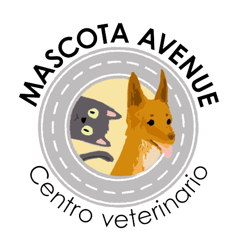 Mascota Avenue - Centro Veterinario y Peluqueria Canina/Felina Poblenou