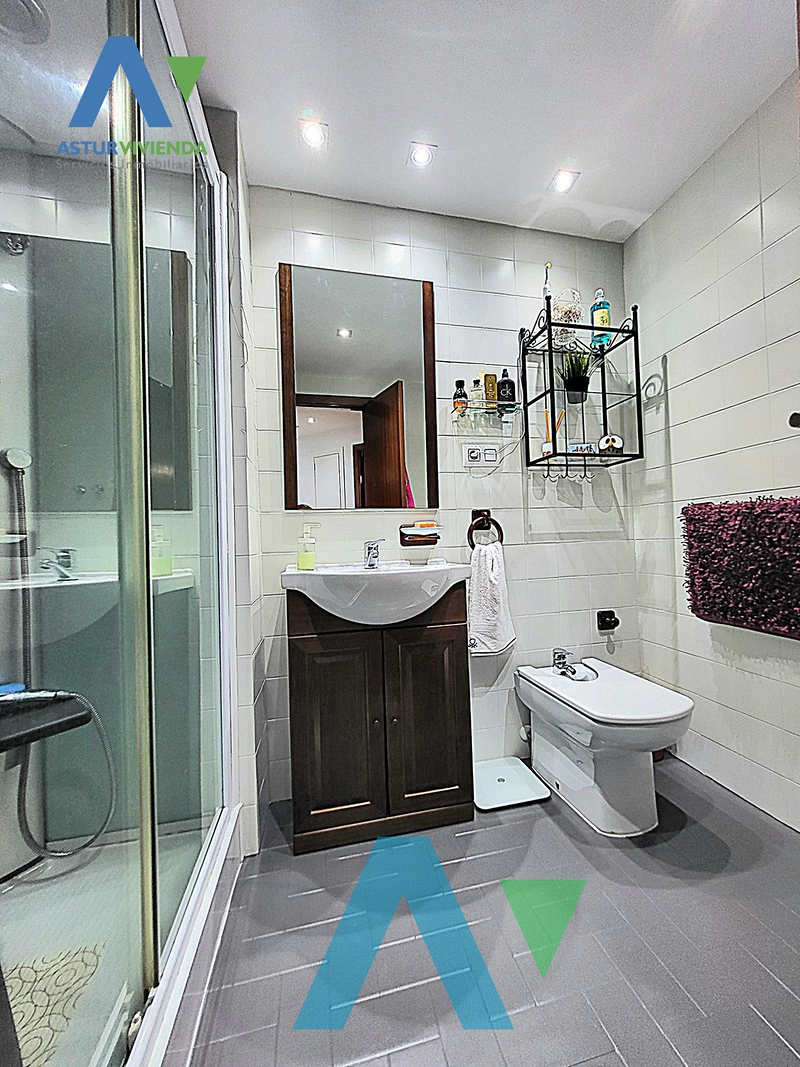 Asturvivienda Inmobiliaria 12