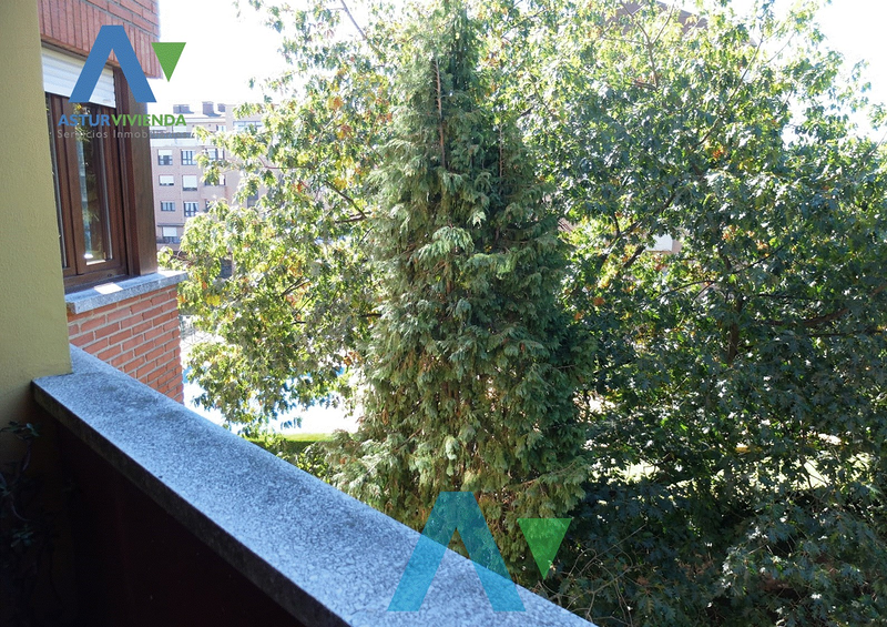 Asturvivienda Inmobiliaria 8