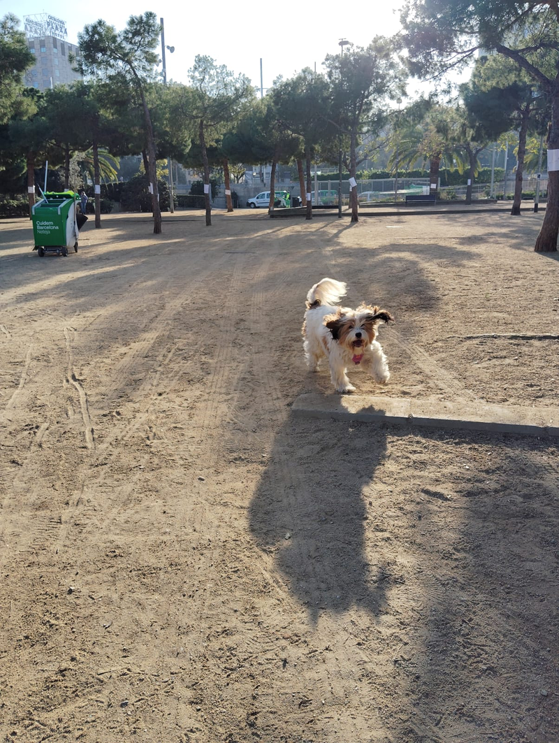 Cani Care Bcn Barcelona