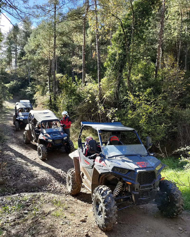 Buggie Sensaci&oacute; 2