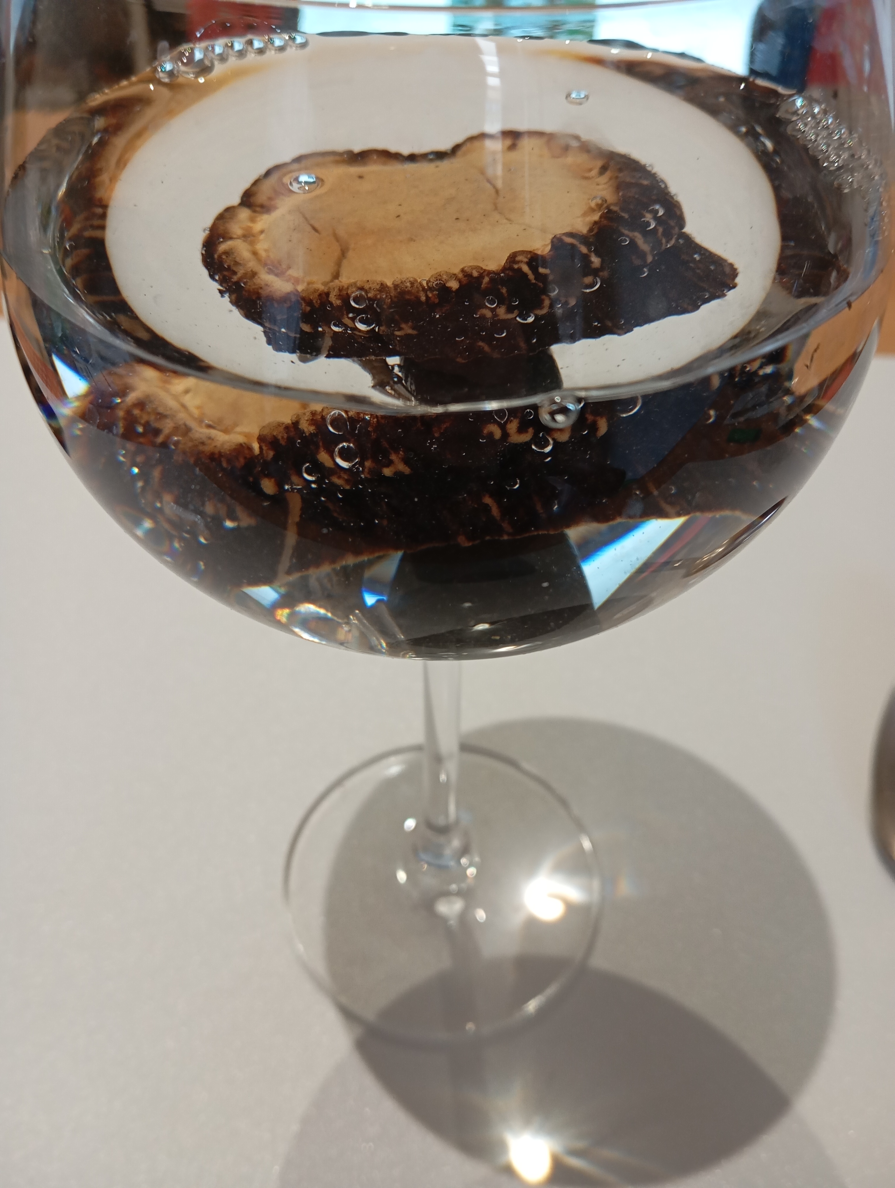 Tarotista Esoterico Pasador de Agua