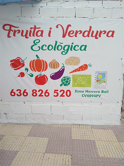 Galería de imágenes