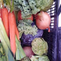 Galería de imágenes