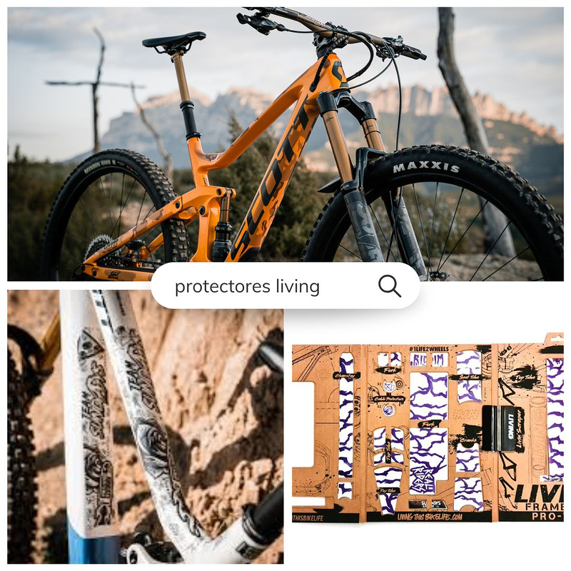 Bike Shop Solutions 31