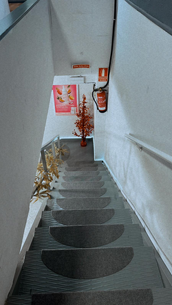 Galería de imágenes