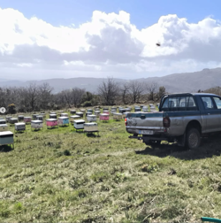 Galería de imágenes