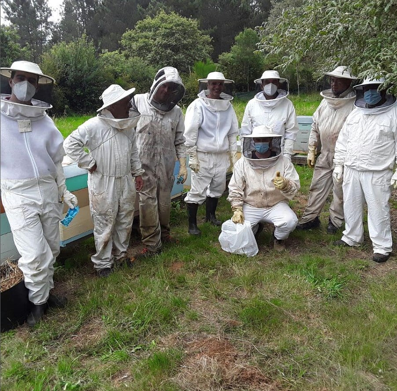 As Abellas Do Chanuco 7