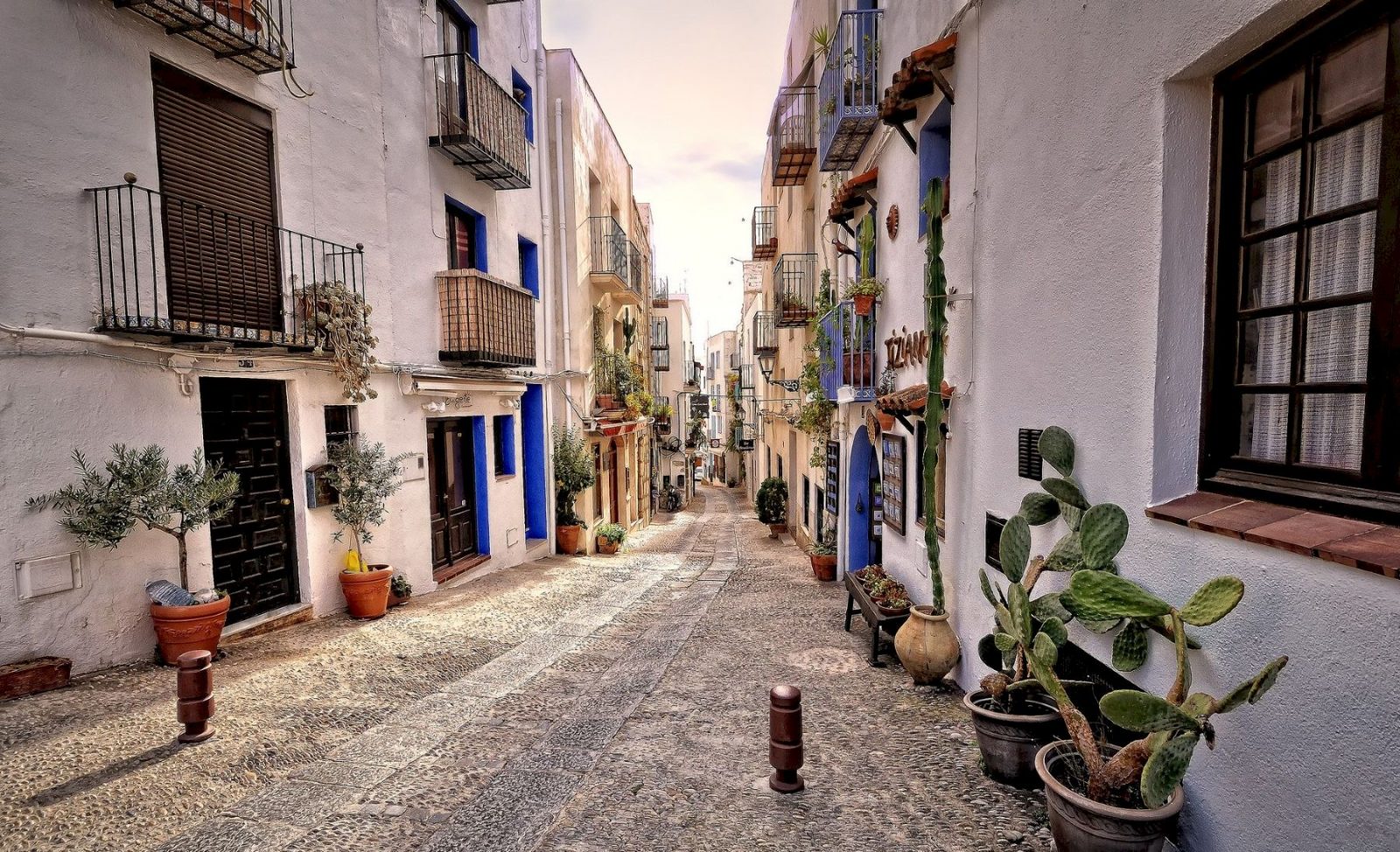 Galería de imágenes