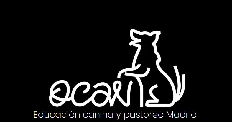 OCAN educación y actividades caninas