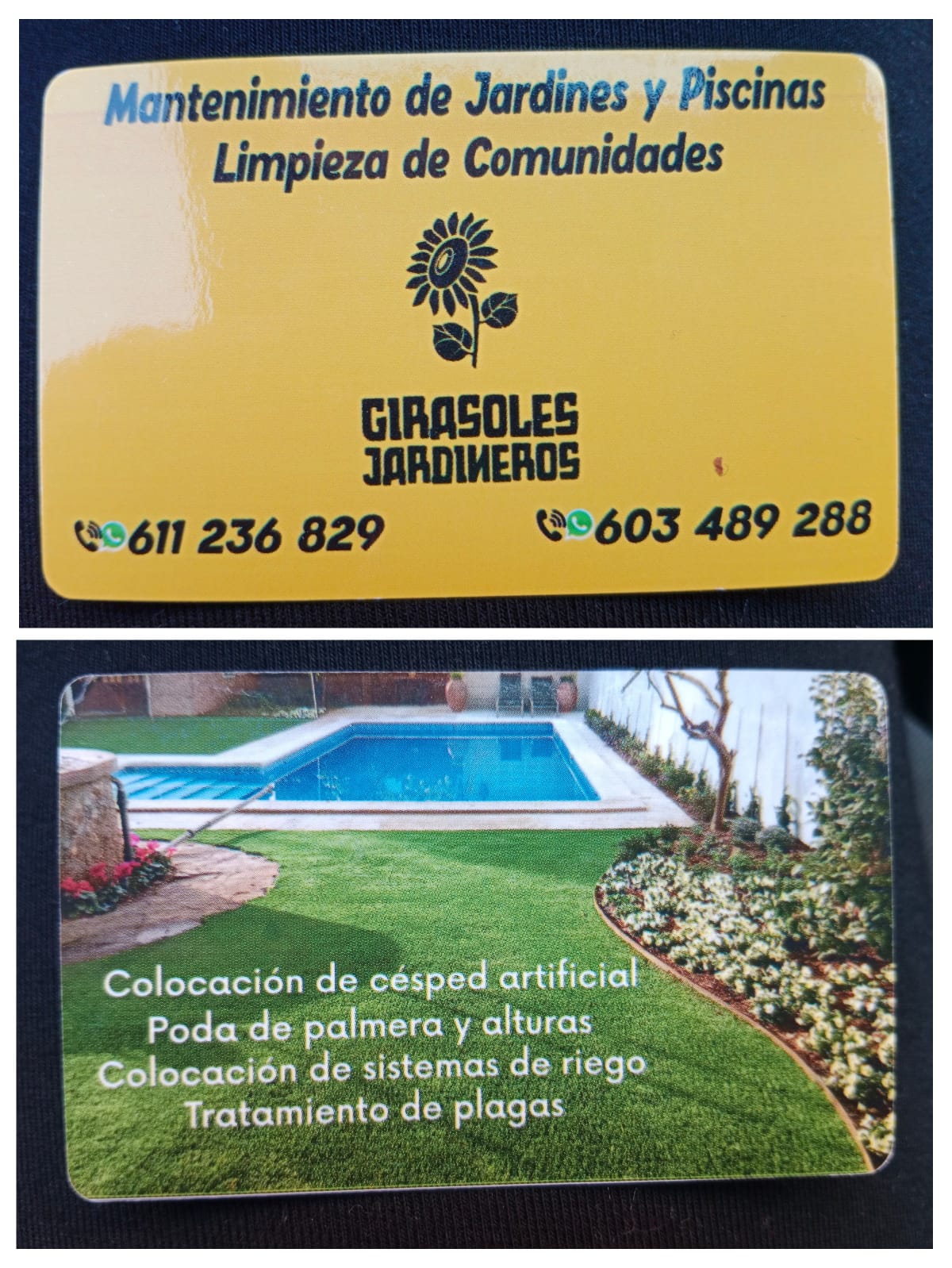 Girasoles Jardineros