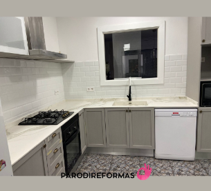 Parodireformas REFORMAS EN GENERAL