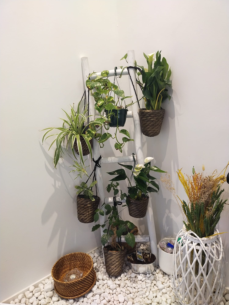 Acupuntura vital majadahonda 2