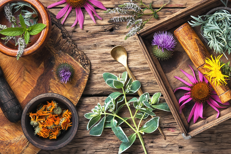 Acupuntura vital majadahonda 11