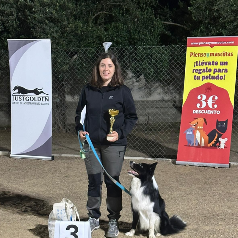 Border Collie Los Almendrillos 9
