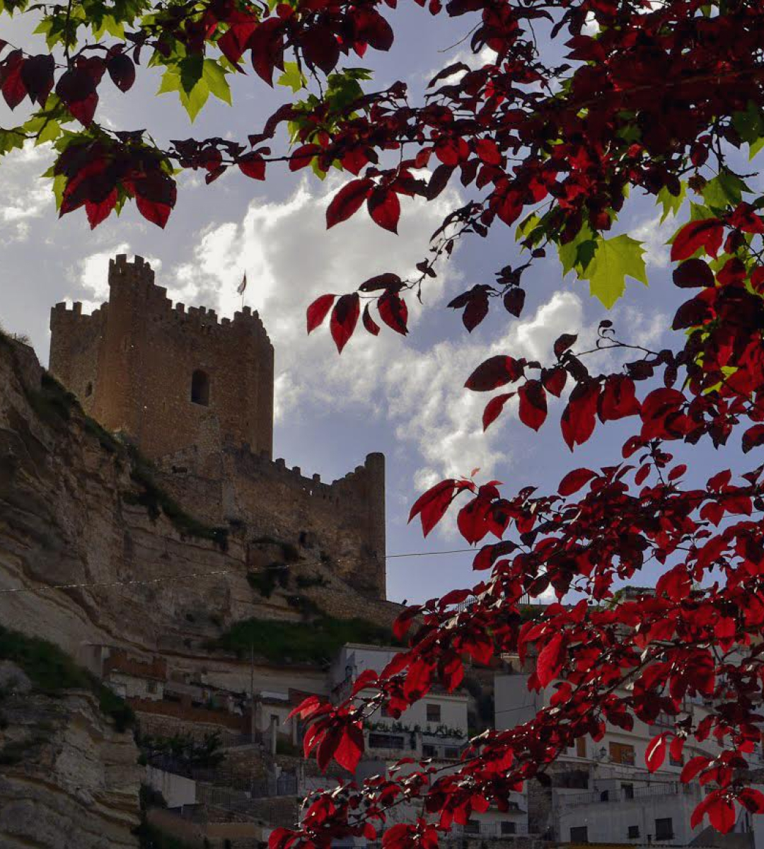 Casas Rurales Diego Paleta 17