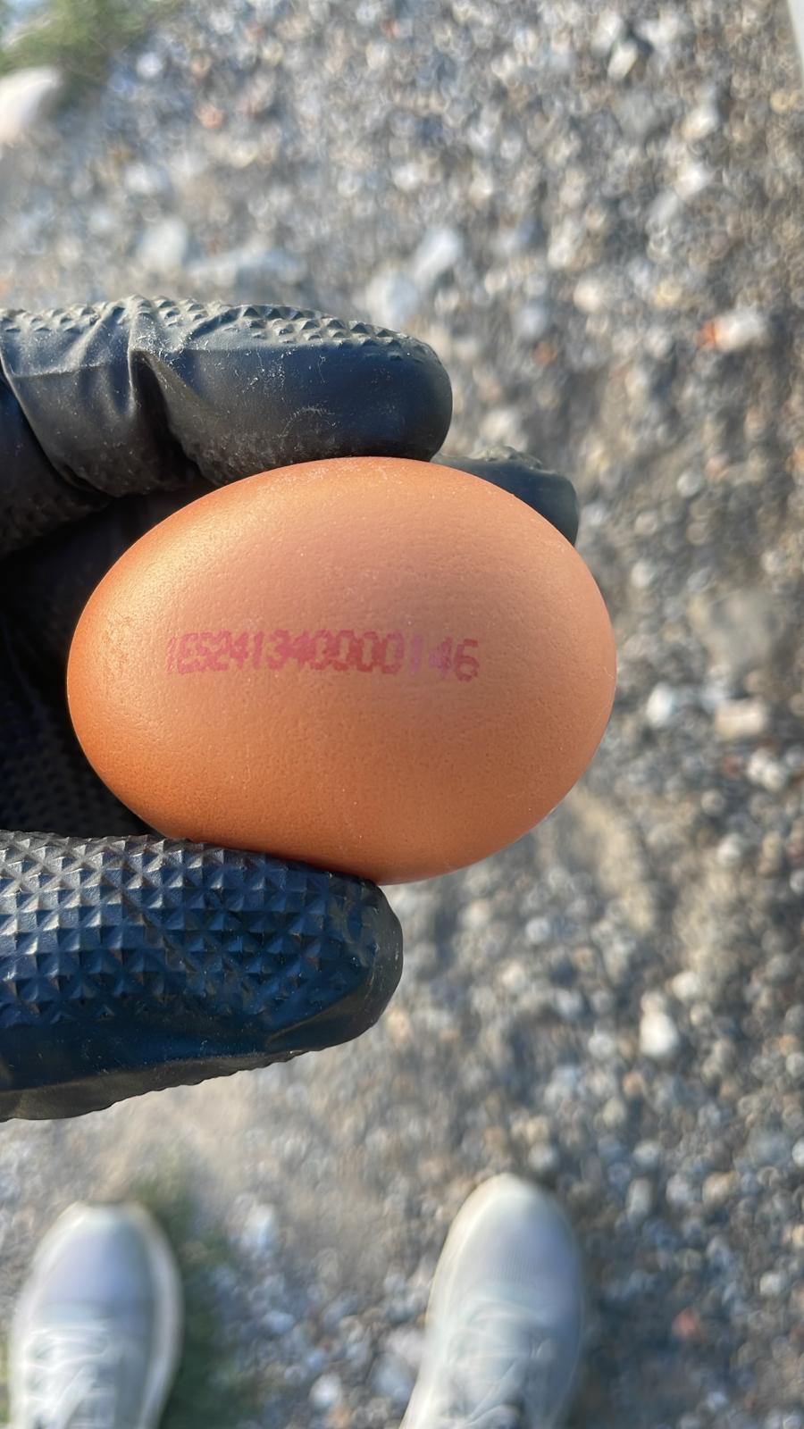 Psmjet Codificaci&oacute;n 32