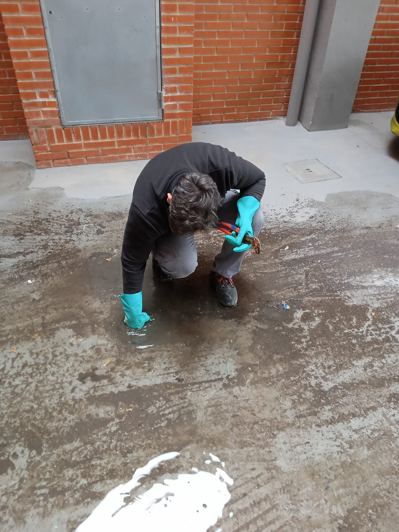 Limpiezas Profesionales Re&ntilde;oz 10