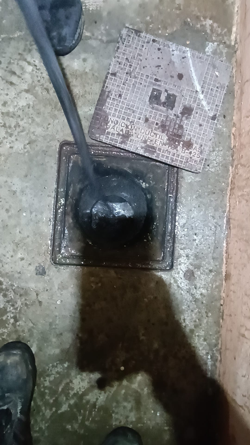 Limpiezas Profesionales Re&ntilde;oz Carlet